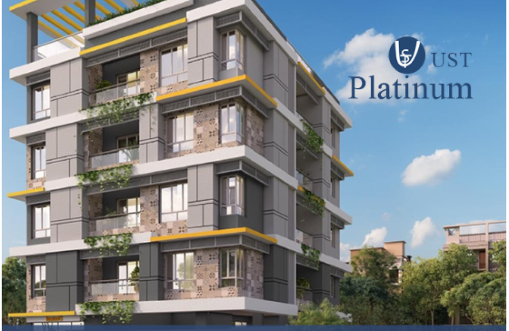 UST Platinum UST Platinum