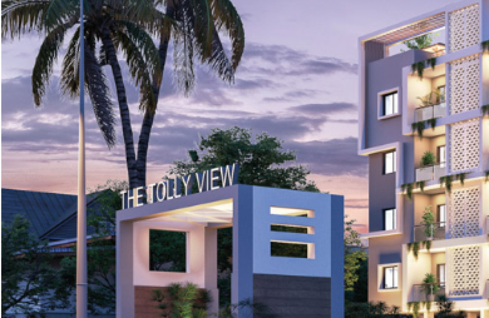 tolly view